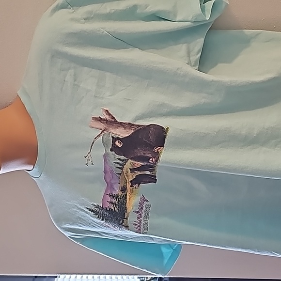 Gatlinburg Tennessee t-shirt size XL men's - Picture 3 of 5